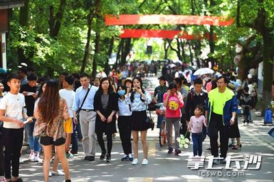 全員上崗服務(wù) 小長假首日麓山景區(qū)迎客流小高峰