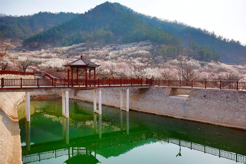 全域發(fā)力精準治理 城陽探索農(nóng)村人居環(huán)境整治提升新路徑鳳凰網(wǎng)青島