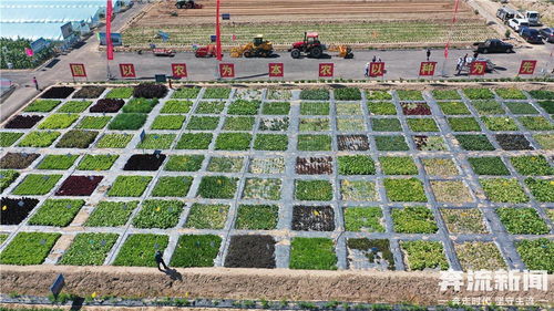 蘭州市榆中縣農(nóng)業(yè)技術(shù)推廣中心獲評 全國五星