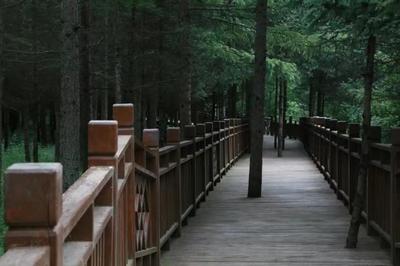 城市管理提質增效丨&ldquo;顏值&rdquo;再提升 官鵝溝大景區(qū)掀起環(huán)境衛(wèi)生整治&ldquo;熱潮&rdquo;