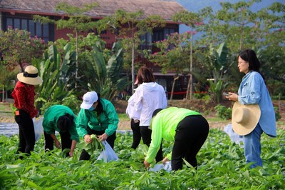 水稻國家公園旅游標(biāo)準(zhǔn)化專項(xiàng)工作簡報(bào)第一期