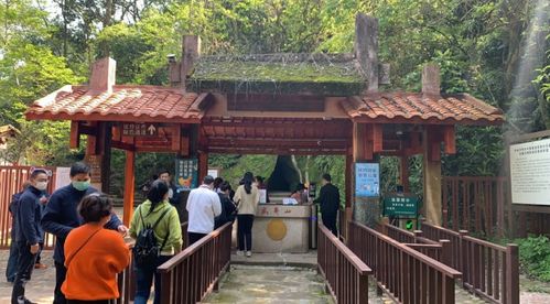 武夷山今天恢復(fù)開放 全國醫(yī)護(hù)人員免費(fèi),還有這些優(yōu)惠政策