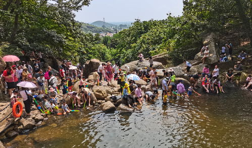 連云港市云臺山風景名勝區 精細化園區管理服務，繪就山海文旅新畫卷